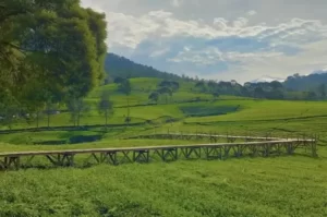Objek Wisata Alam Riung Gunung Bogor yang Wajib Dikunjungi