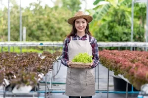 8 Ide Bisnis Menguntungkan di Sektor Pertanian Modern