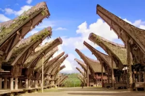Tongkonan Toraja, Mengenal Budaya Hingga Adat Istiadatnya